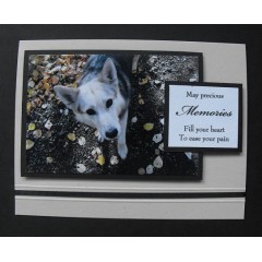 Dog Sympathy Greeting Card - Lenny 50